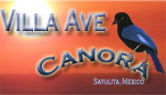 Link to Villa Ave Canora Villa Rentals in Sayulita, Mexico